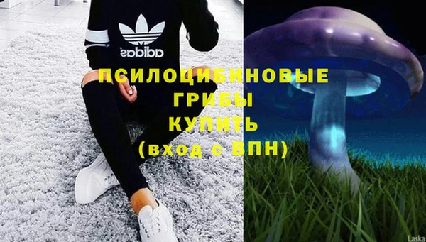 мдма Заводоуковск