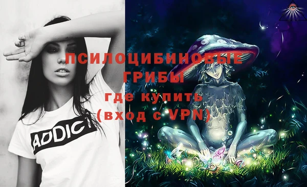 метадон Заволжск